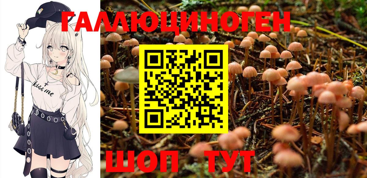 Галлюциногенные грибы мицелий Михайловск
