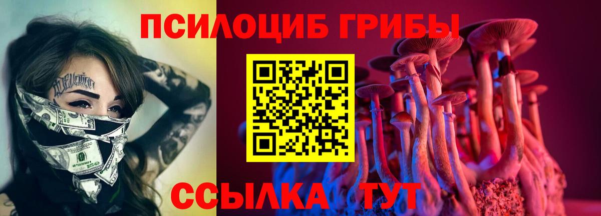 Михайловск  сколько стоит  Вход с VPN  Галлюциногенные грибы MAGIC MUSHROOMS 